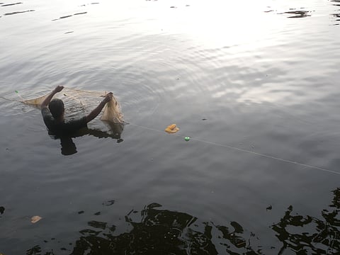 भारत की सबसे बड़ी रामसर स्थल मानी जाने वाली केरल की वेम्बनाड झील आज एक गंभीर पारिस्थितिक संकट से जूझ रही है।