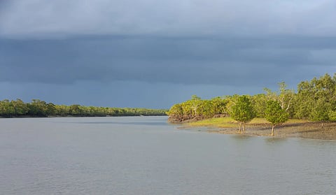 सुंदरबन के किसान साल दर साल बढ़ते खारे पानी और बदलते मौसम के बीच अपनी पारंपरिक खेती छोड़ने को मजबूर हैं।