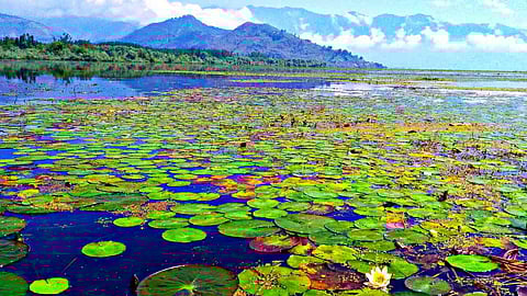 वुलर झील