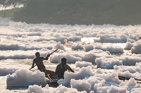 यमुना की असली व्यथा वह नहीं जो सफेद झाग में दिखती है, बल्कि वह है जो धीरे-धीरे नदी के जैविक तंत्र को ख़त्म कर रही है और उसे मिटा रही है।