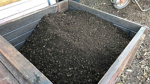 कम्पोस्ट&nbsp;