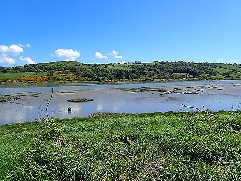 केरल के मडबैंक प्रकृति की अनूठी धरोहर हैं, जिनका अपना ही एक पारस्थितिक तंत्र होता है।
