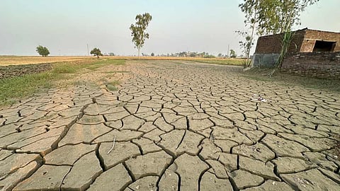 जब तरन तारन के खेतों में जमी रेत&nbsp;