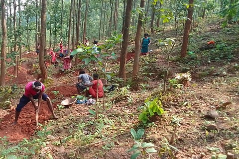 ढलान वाले इलाकों में बारिश के पानी को रोक कर जल संरक्षण करने में कंटूर ट्रेंचिंग की विधि काफी मददगार और असरदार साबित होती है।&nbsp;