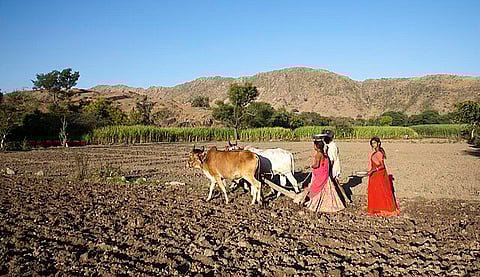 राजस्‍थान के कई इलाकों में किसान आज भी अपने पारंपरिक तरीकों से खेती करते दिखाई देते हैं।&nbsp;