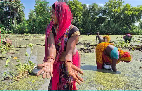 अनिता देवी अपना हाथ उठाकर हल्की मुस्कान देती हैं। उनकी हथेली पर गहरा कट है। जब उनसे दस्ताने या किसी सुरक्षात्मक साधन के बारे में पूछा जाता है, तो वह हँसते हुए कहती हैं, “पहली बार सुन रहे हैं हम लोग इस बारे में।”