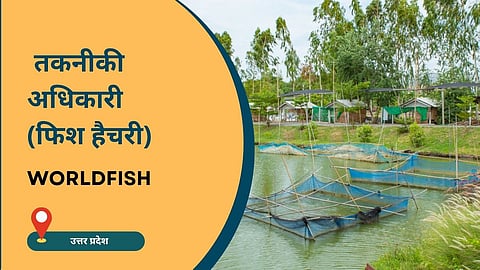 वर्ल्‍डफिश में तकनीकी अधिकारी - फिश हैचरी की नौकरी, आवेदन करें  