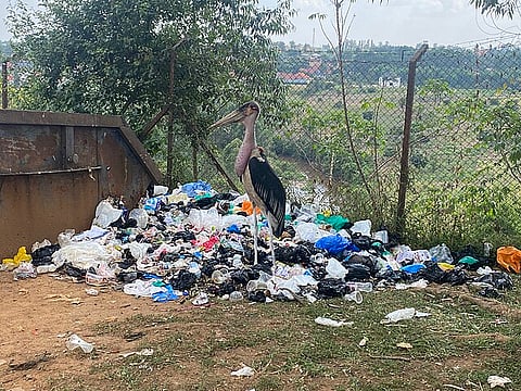 प्लास्टिक के पैकटों और पाउचों से फैलने वाला प्रदूषण पर्यावरण से लेकर मनुष्‍यों और पशु-पक्षियों तक पूरे इको सिस्‍टम को बुरी तरह प्रभावित कर रहा है।&nbsp;