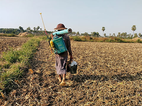 उर्वरक का अर्थ, परिभाषा, प्रकार और महत्व  