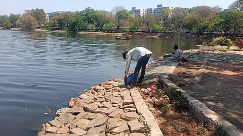 छोटा तालाब, भोपाल