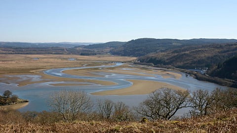 ज्वारनदमुख (Estuary) क्या है? अर्थ, परिभाषा और पर्यावरण में महत्व