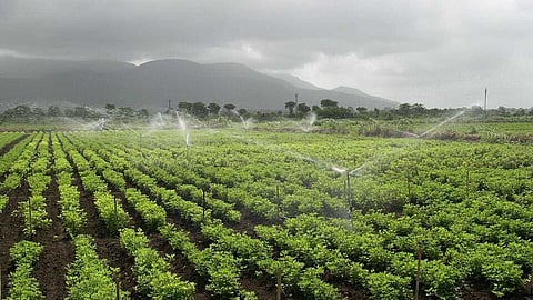 सिंचित भूमि (Irrigated Land) क्या है? अर्थ, परिभाषा और महत्व।