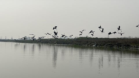 गोगा‍बील झील