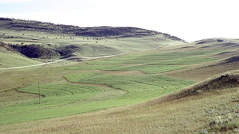 समोच्च खेती (Contour Farming): मृदा और जल संरक्षण की प्रभावी कृषि पद्धति