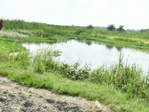 मेरठ में बूढ़ी गंगा के बाढ़ मैदान में 43 गांवों के पट्टे निरस्त कर नदी को दी जाएगी अतिक्रमण से मुक्ति।&nbsp;