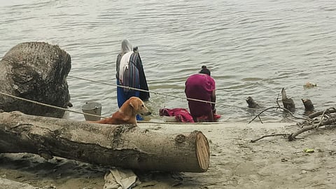 बूढ़ी गंडक की बदली कहानी: कभी रोज़गार का सहारा, अब बीमारी और बेबसी की वजह