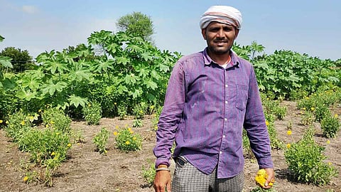 कम पानी में फूलों की खेती से लाखों की कमाई, जानें सिंचाई से लेकर मार्केटिंग तक का तरीका
