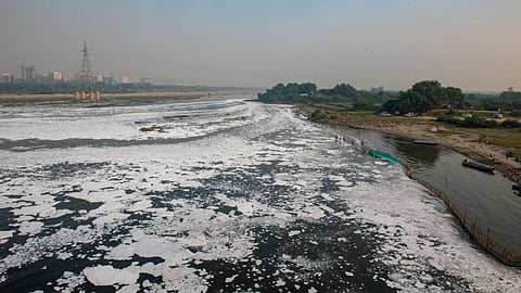 ओखला पक्षी विहार के पास प्रदूषित यमुना