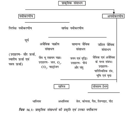संसाधन: समानार्थक शब्द और संबंधित अवधारणाएँ (संसाधन: समानार्थी शब्द और संबंधित अवधारणाएँ)