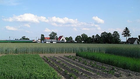 जलवायु अनुकूल खेती,फोटो क्रेडिट-विकिपीडिया