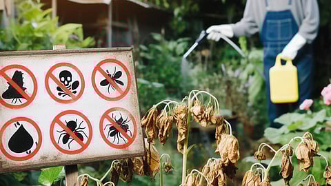 कीटनाशक पर्यावरण पर दबाब तथा जनमानस पर दुष्प्रभाव  