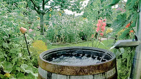 जलाभाव की त्रासदी ,Pc-जल चेतना