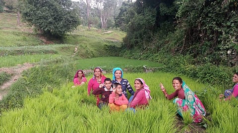 कृषि के माध्यम से सशक्त होती ग्रामीण महिलाएं