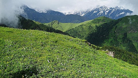 औली बुग्याल, उत्तराखंड में एक घास का मैदान। (फोटो सौजन्य: विकिमीडिया कॉमन्स, फोटो - संदीप बराड़ जाट)