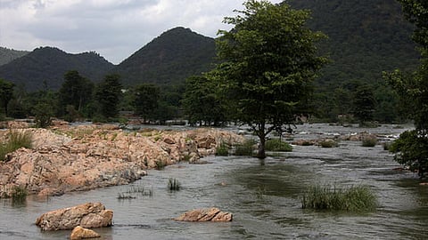 कावेरी नदी