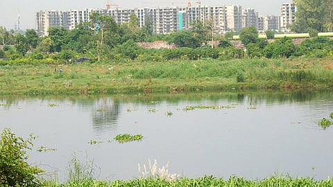 यमुना नदी