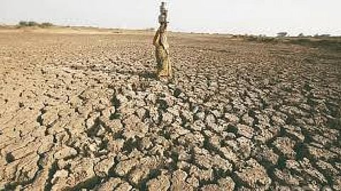 खेती-बाड़ी : कभी थे गुलजार अब होते विरान