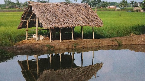 ग्रामीण कृषि अर्थव्यवस्था