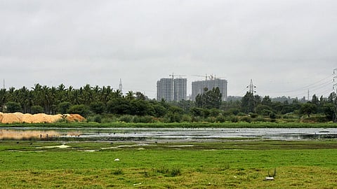अतिक्रमण की चपेट में सूरजपुर वेटलैण्ड