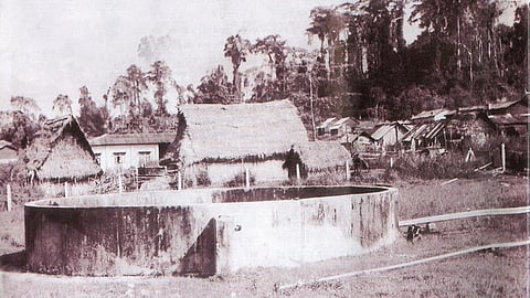 अंडमान निकोबार द्वीप समूह में शोंपेन और जारवा आदिवासी बाँस द्वारा जैकवेल में बारिश का पानी एकत्रित करते हैं