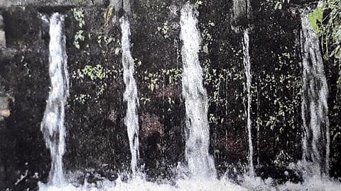 चाल-खाल