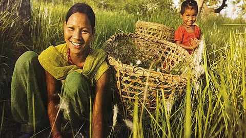 Agriculture
