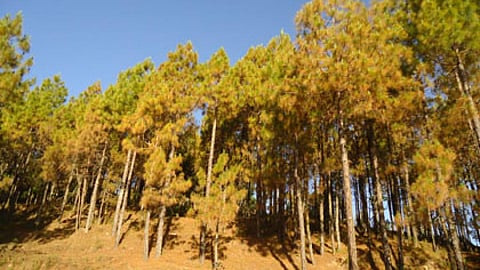 उत्तराखंड का कहानी, लोगों की जुबानी
