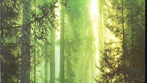 Environment
