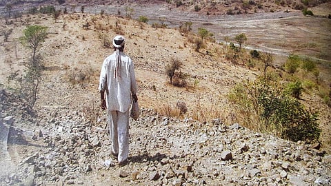 farmer