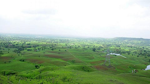 हलमा से पानी और हरियाली बचाने की अनूठी मुहिम
