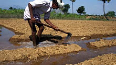Irrigation