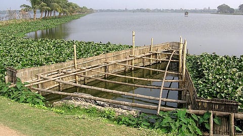 मछली पालन के लिये प्रसिद्ध कोलकाता झील स्थानीय स्तर पर भेरी के नाम से जाना जाता है