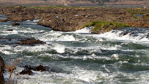 Narmada river