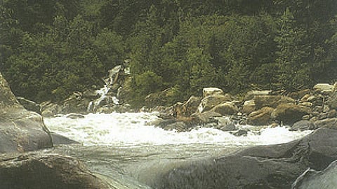 Nature