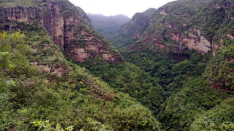 सतपुड़ा जब झूमने लगता है