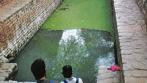 स्पिरुलिना शैवाल की खेती दिल्ली की बावड़ियों में भी सम्भव है