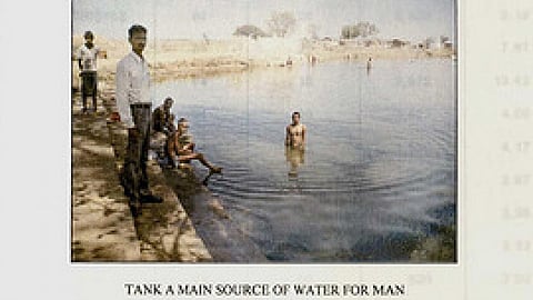 Use of pond water