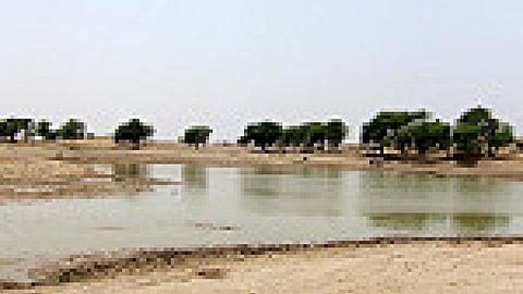 Water Bodies