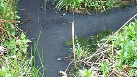 जल प्रदूषण