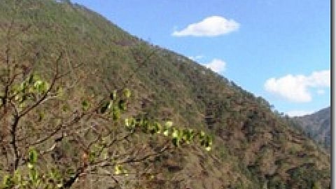 वन संरक्षण की नीतियों में जनहित को नहीं दी जाती तरजीह
